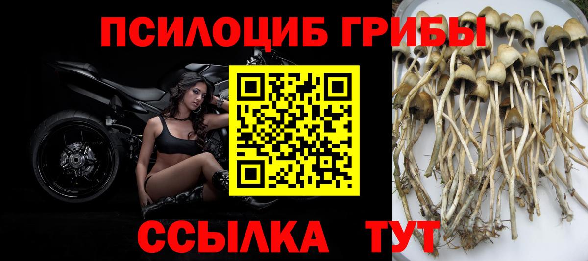 Галлюциногенные грибы Cubensis  Галлюциногенные грибы GOLDEN TEACHER  Вход с VPN  Кызыл 